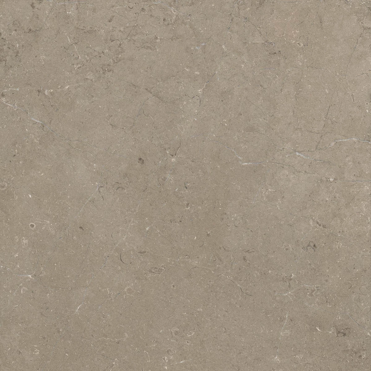 Marazzi Limestone Taupe Rt M7E5