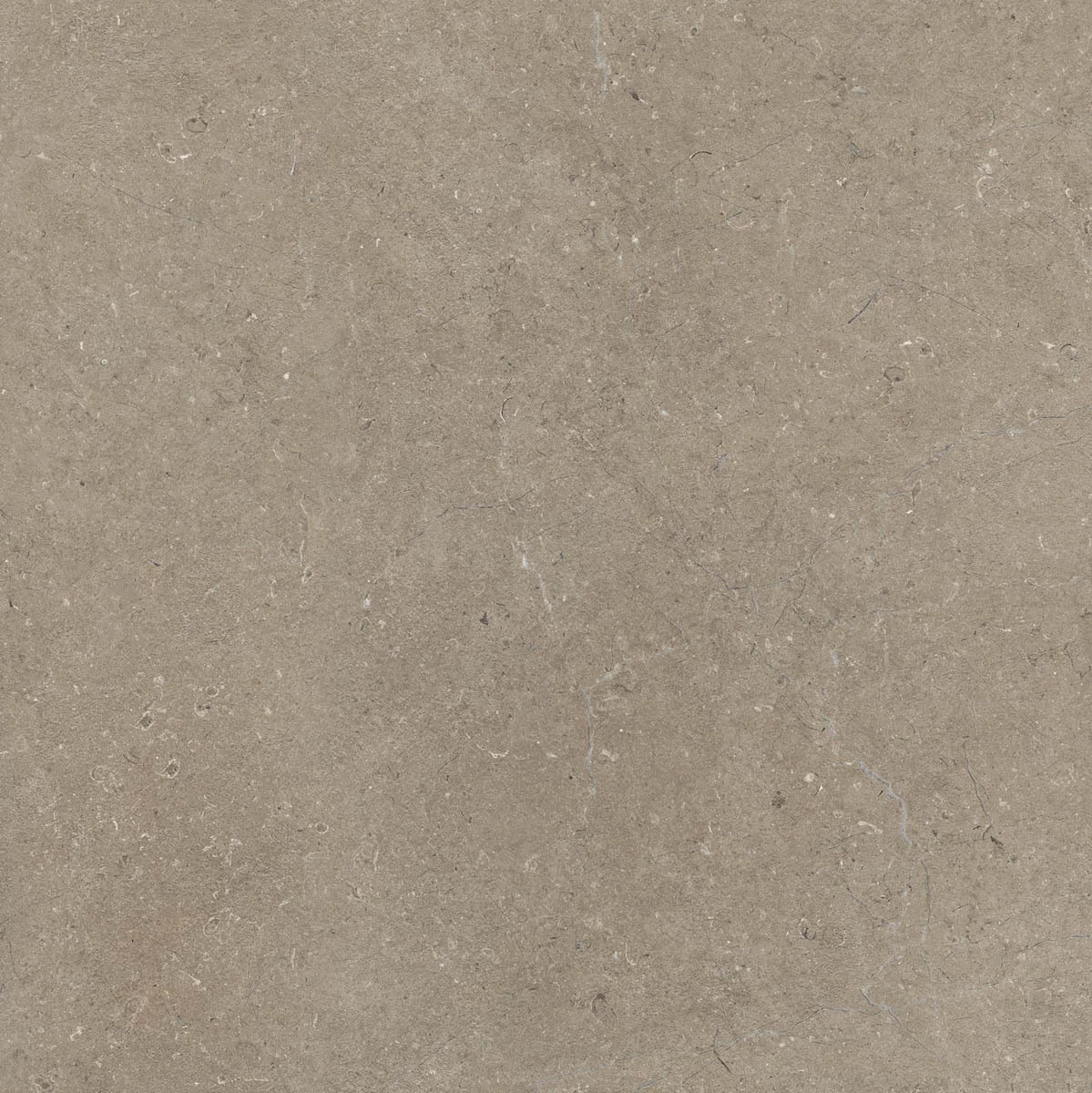 Marazzi Limestone Taupe Rt M7E5