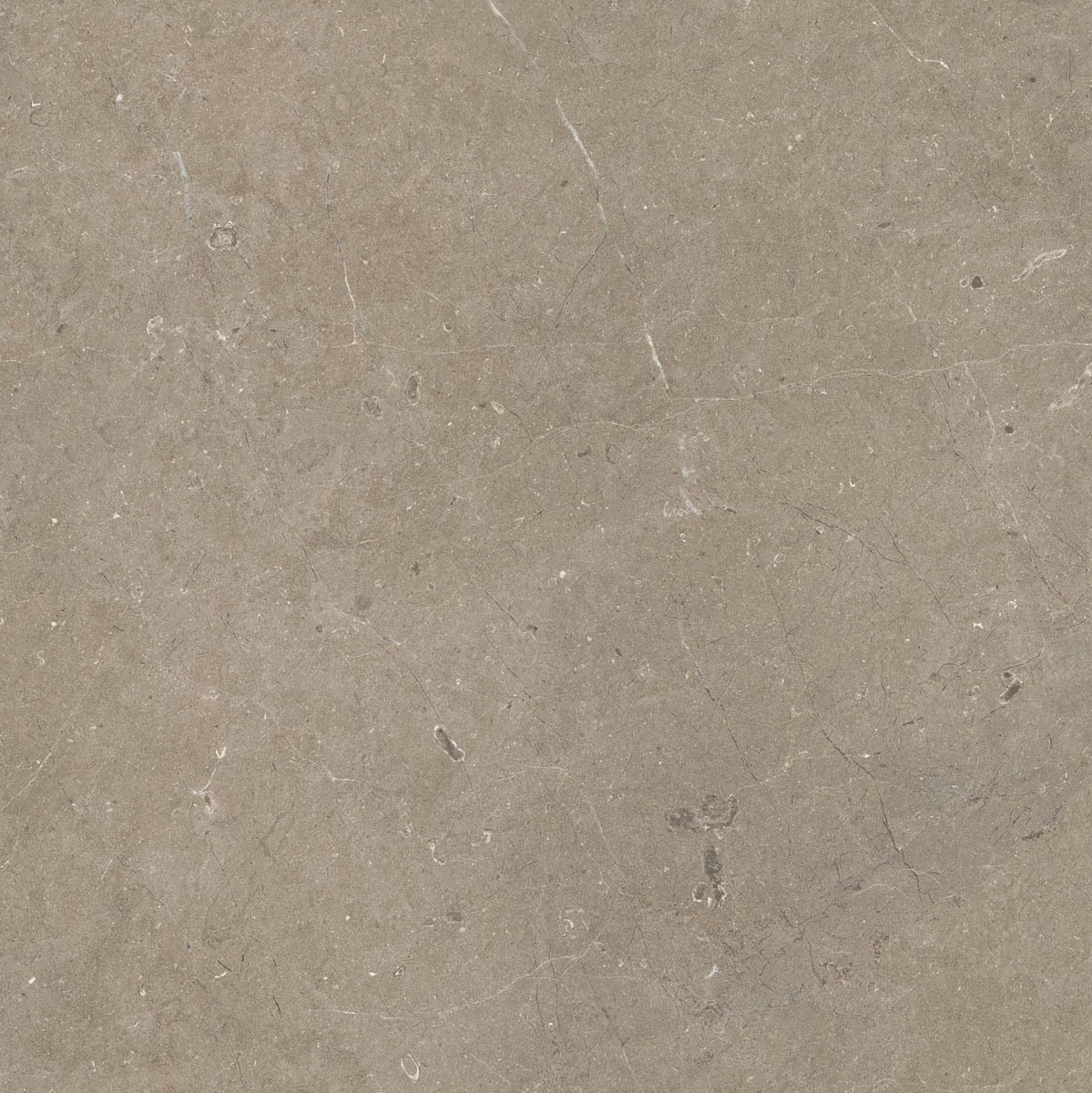 Marazzi Limestone Taupe Rt M7E5
