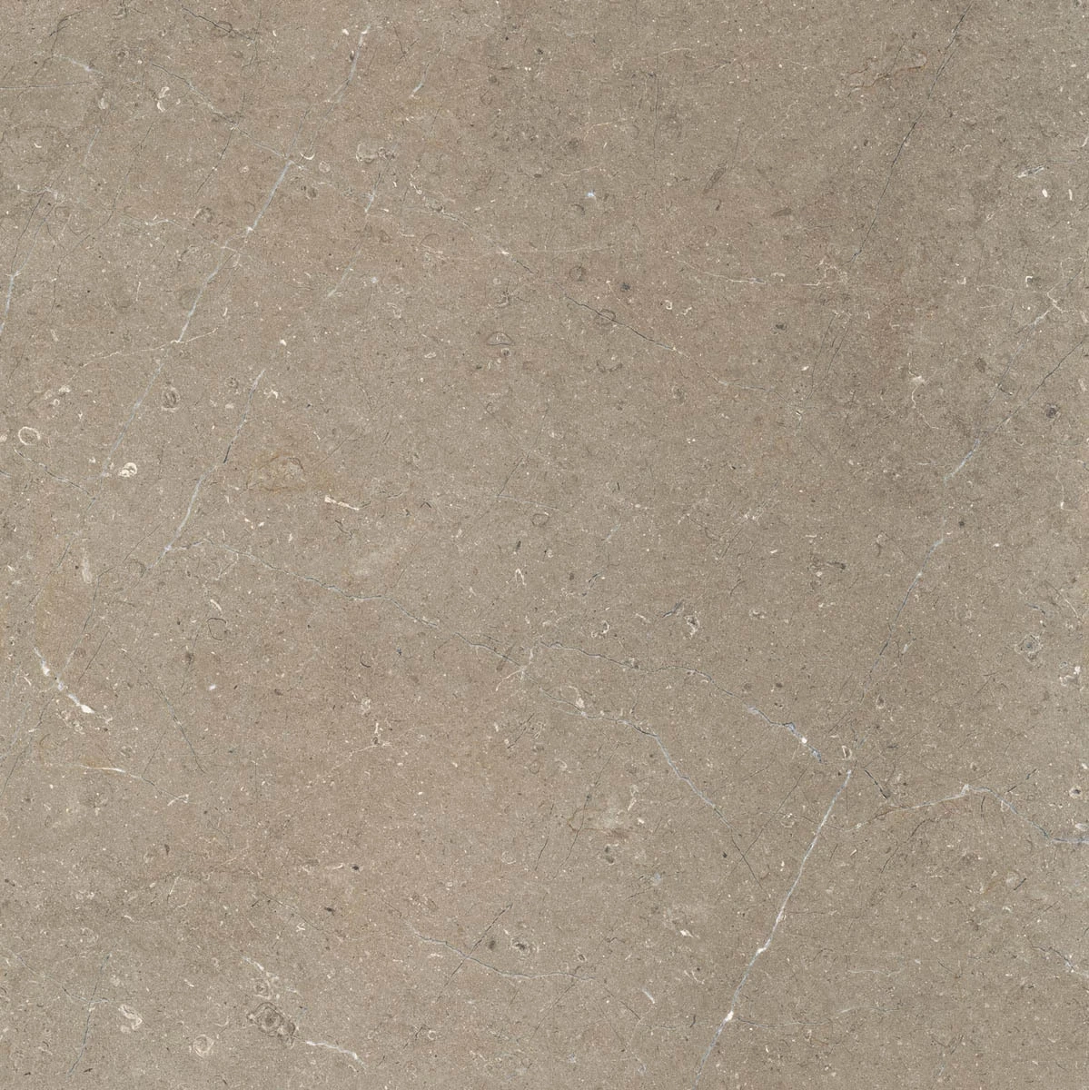 Marazzi Limestone Taupe Rt M7E5