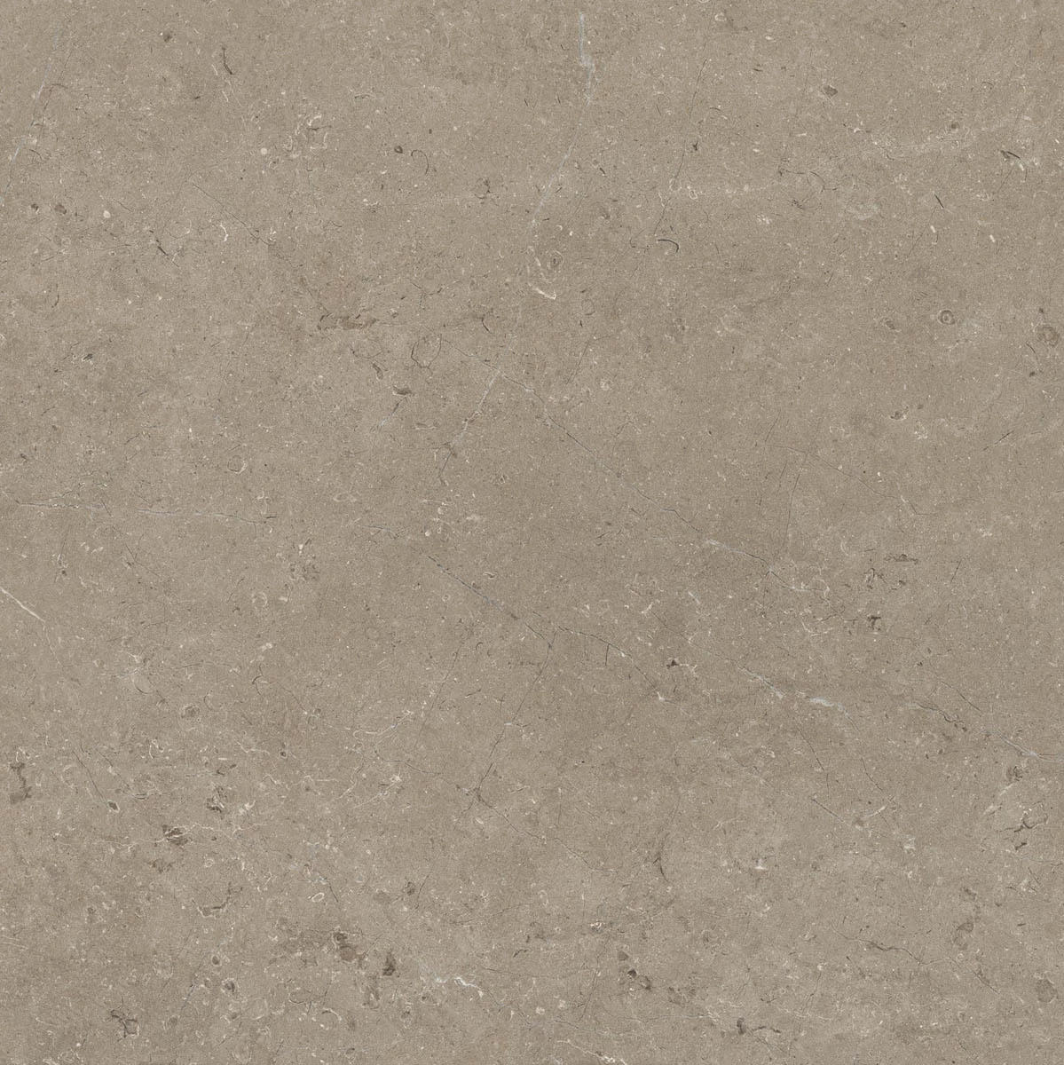 Marazzi Limestone Taupe Velvet M7EZ