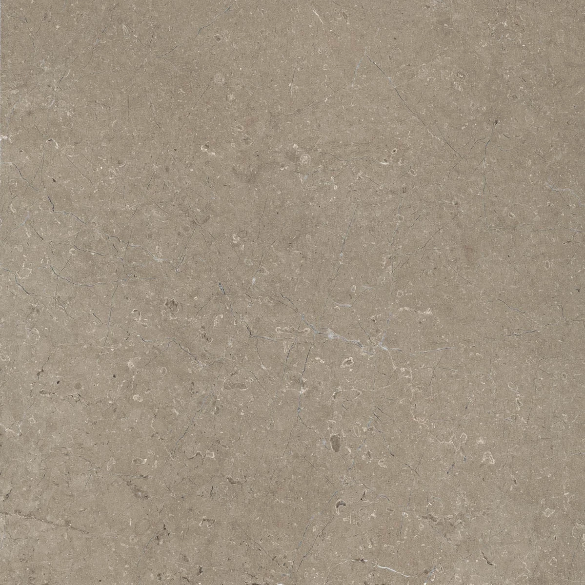 Marazzi Limestone Taupe Velvet M7EZ