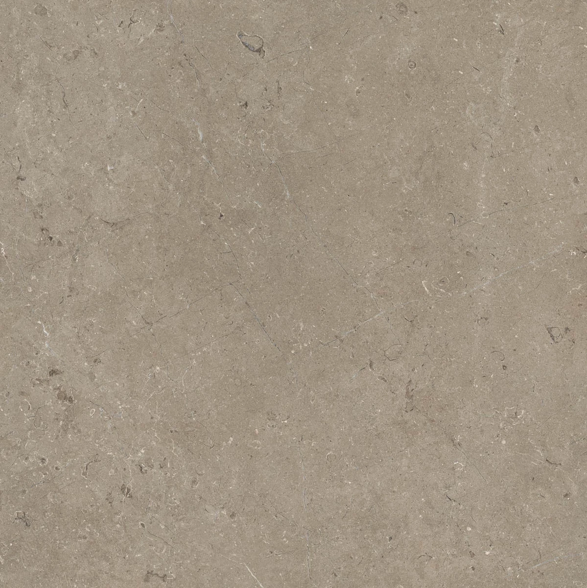 Marazzi Limestone Taupe Velvet M7EZ