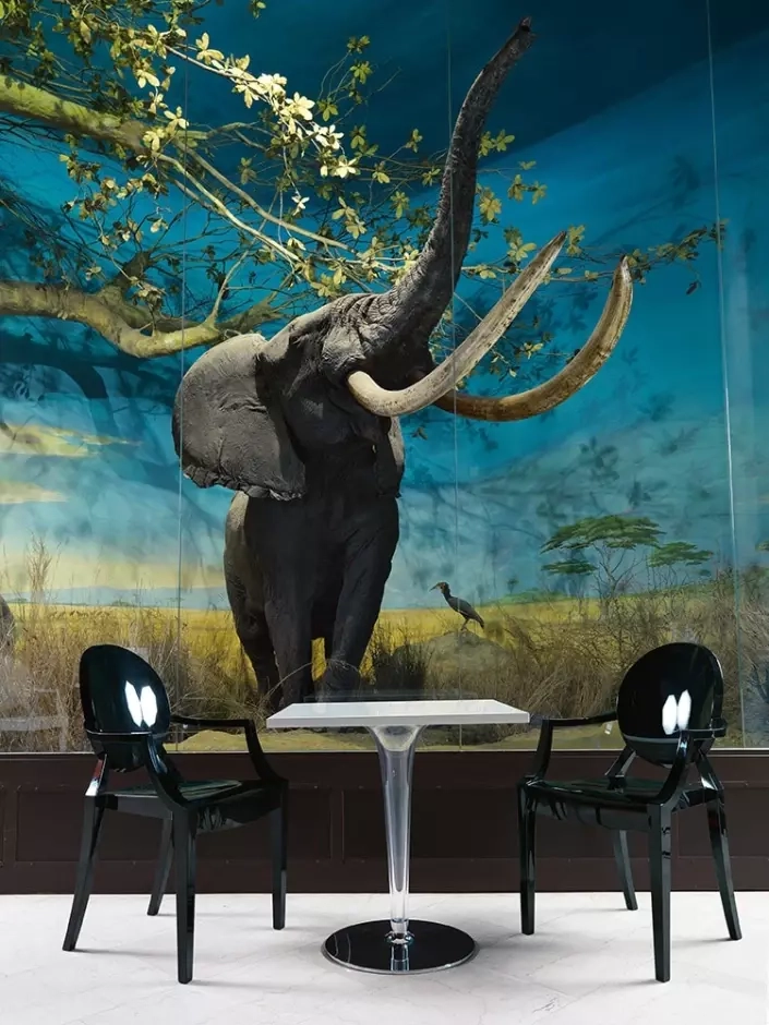 Tisch Kartell TopTop