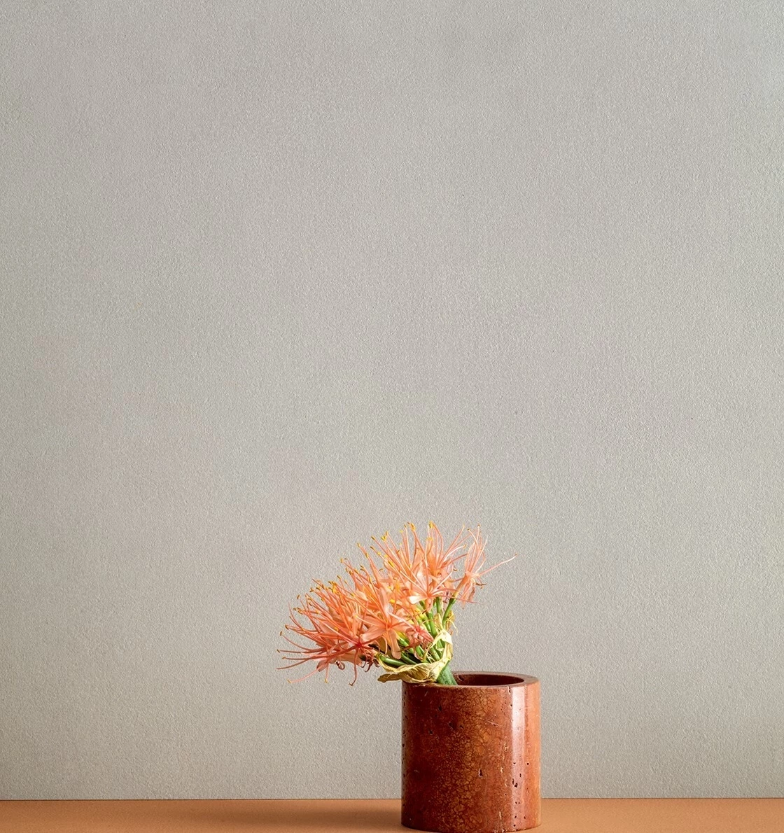 LEA MIST PLS 3000X1000X3,5 LSAPG06