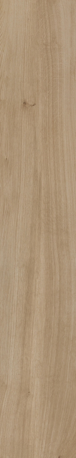 Sant'Agostino Primew.Nat.20120 As CSAPRWNS20