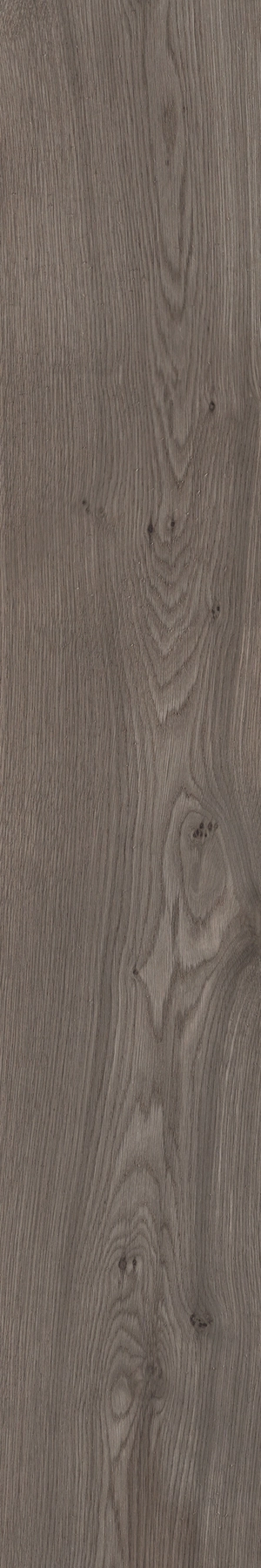 Sant'Agostino Primewood Bro.20120 CSAPRWBR20