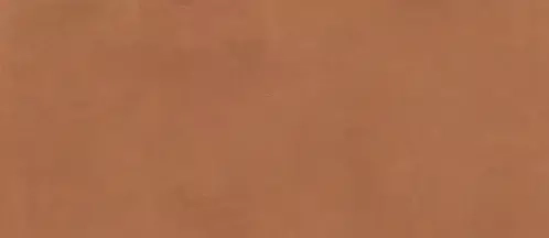 Atlas Concorde Prism Caramel 120X278    A4VI