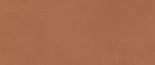 Atlas Concorde Prism Caramel 50X120  A4TL