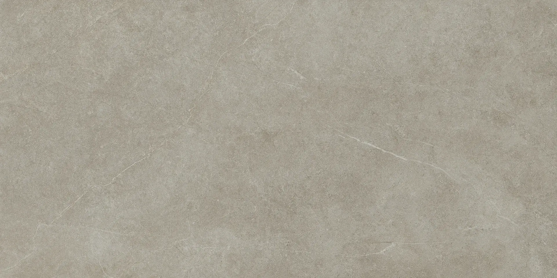 Ragno Argent Ghiaccio Rt R9JR