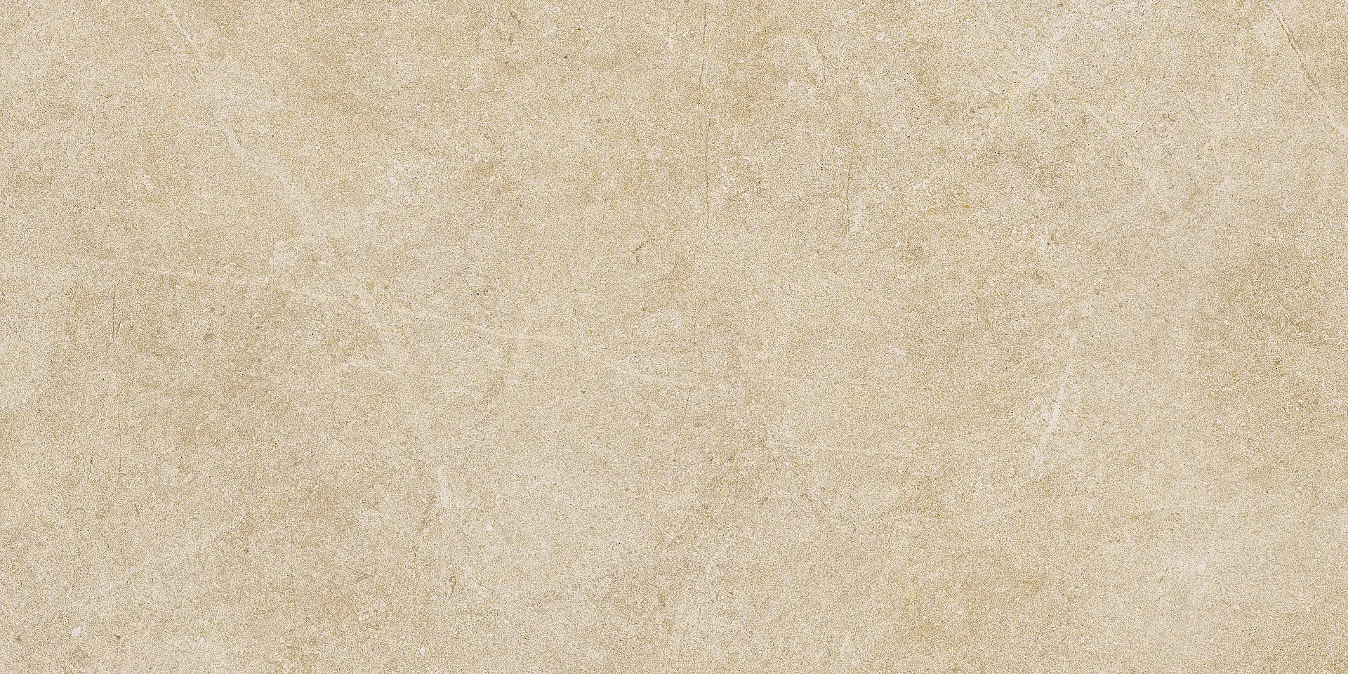 Ragno Argent Miele Ptv Rt R9KY