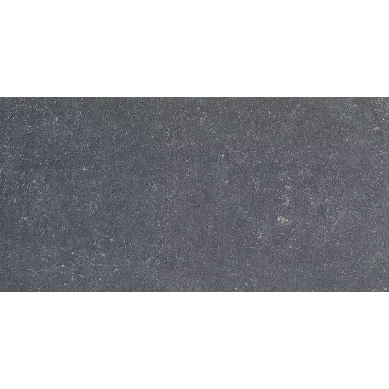 Refin Blue Bluetech Vintage Charbon R. Out2.0  LP24