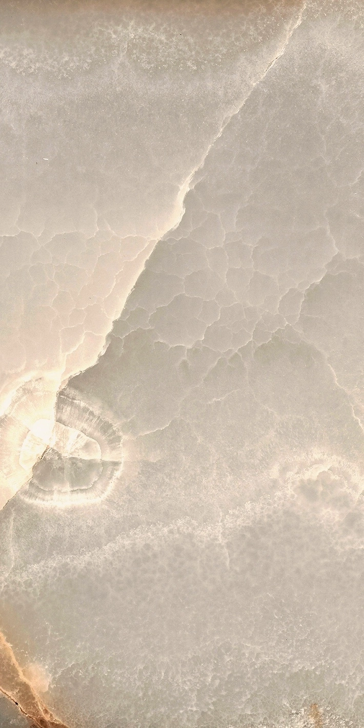 Florim Rex Reves De Rex Noisette Glossy 30X60 Rett 769810