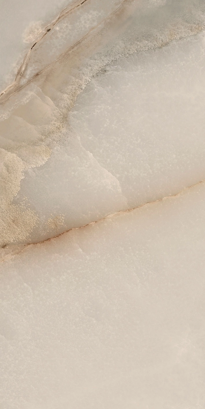 Florim Rex Reves De Rex Noisette Glossy 30X60 Rett 769810