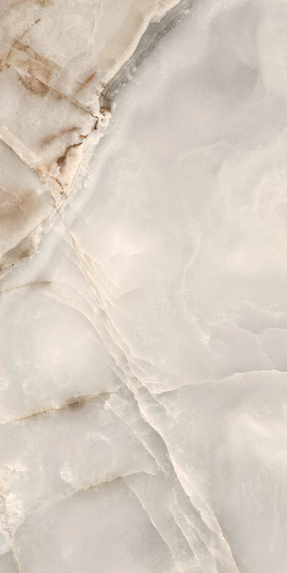 Florim Rex Reves De Rex Noisette Glossy 60X120 Rett 769818