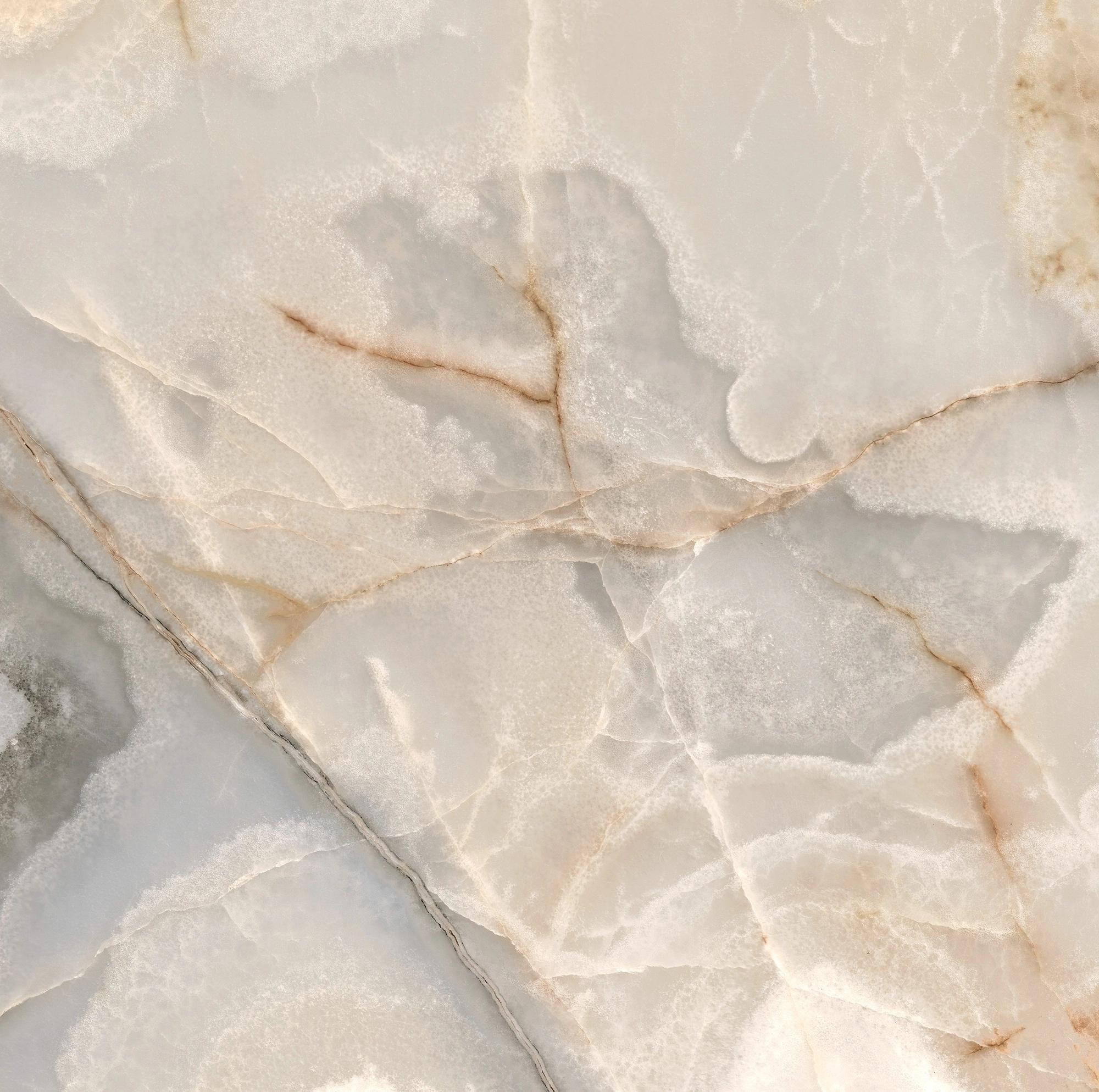 Florim Rex Reves De Rex Noisette Glossy 60X60 Rett 769802