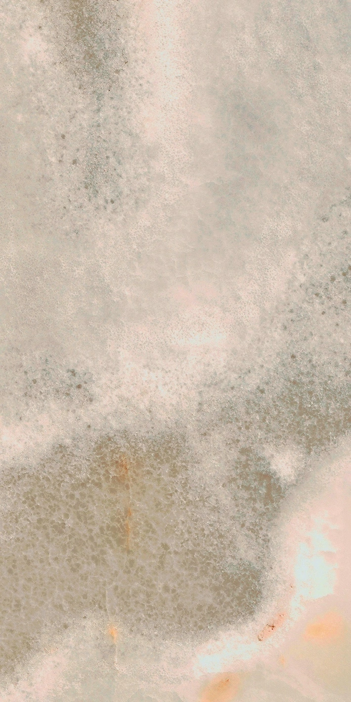 Florim Rex Reves De Rex Noisette Matte 30X60 Rett 769806