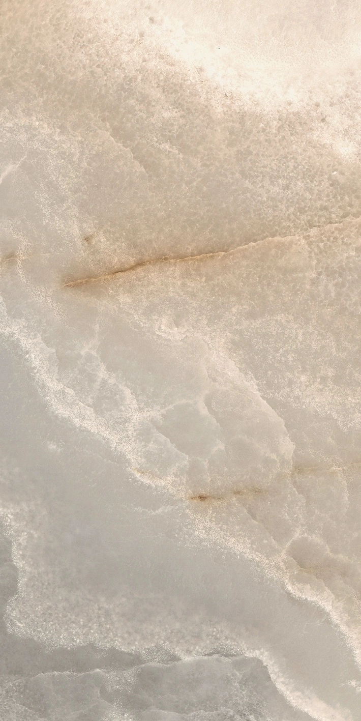 Florim Rex Reves De Rex Noisette Matte 30X60 Rett 769806