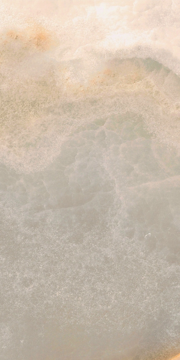 Florim Rex Reves De Rex Noisette Matte 30X60 Rett 769806