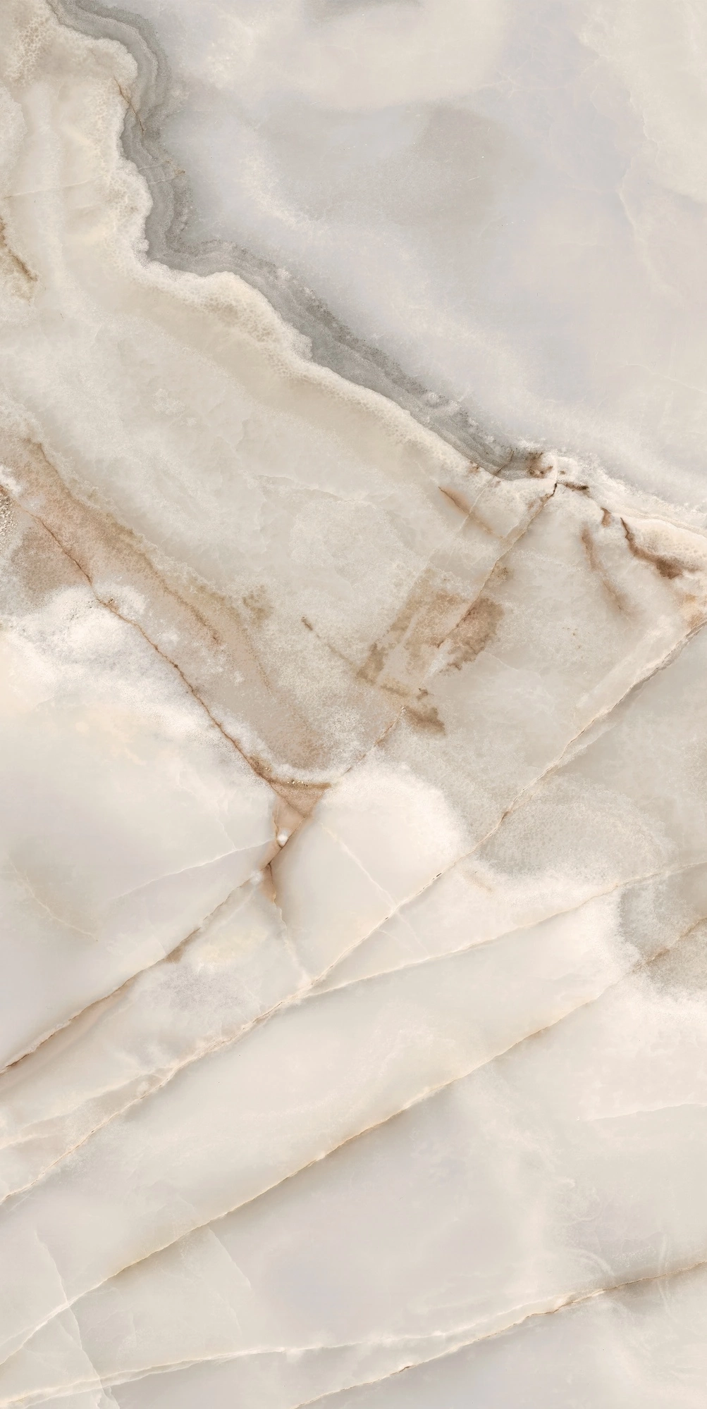 Florim Rex Reves De Rex Noisette Matte 60X120 Rett 769814