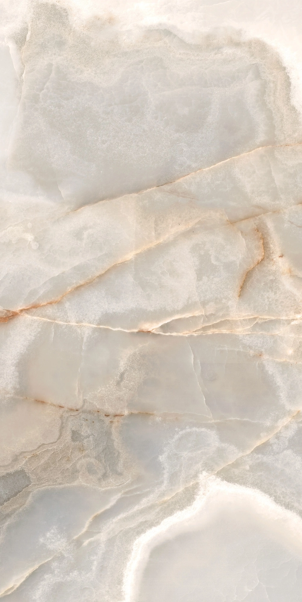 Florim Rex Reves De Rex Noisette Matte 60X120 Rett 769814