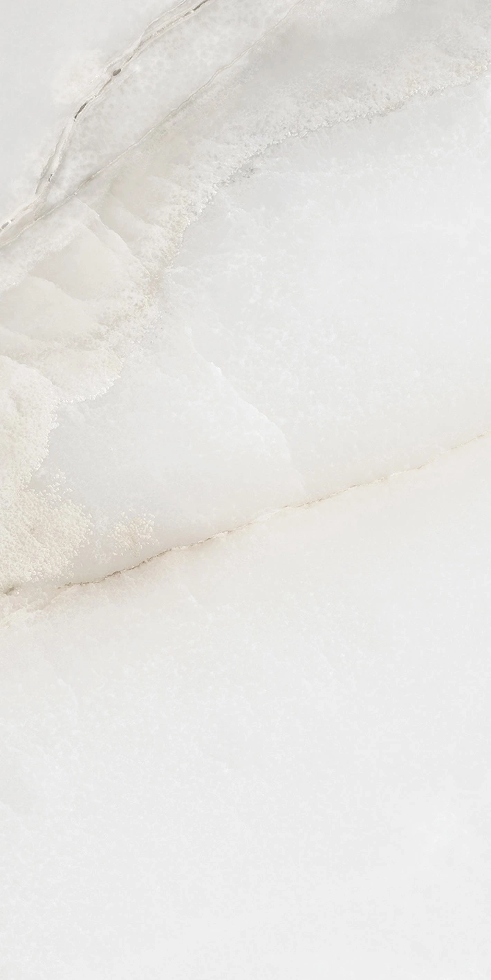 Florim Rex Reves De Rex Perle Matte 30X60 Rett 769804