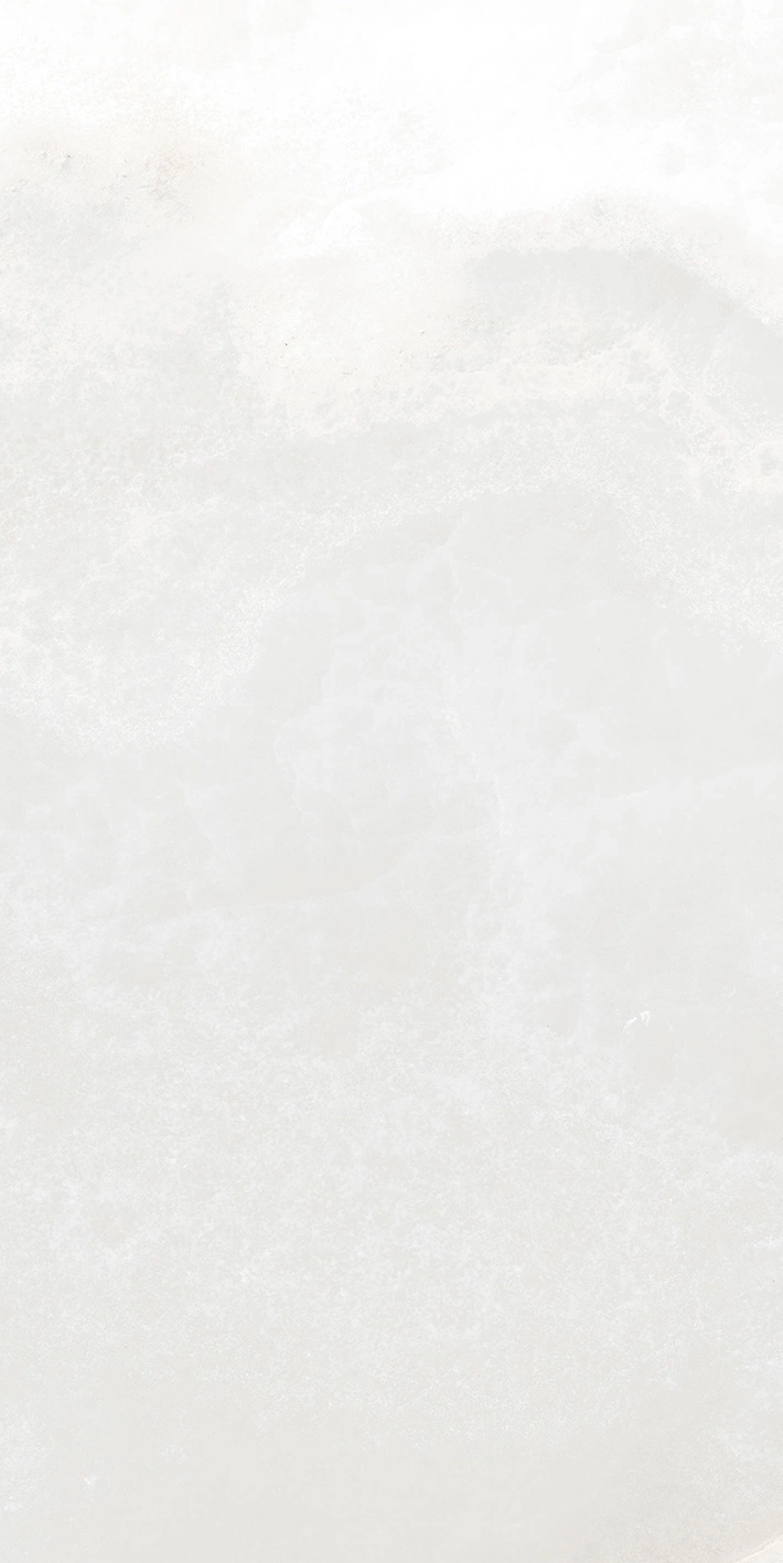 Florim Rex Reves De Rex Perle Matte 30X60 Rett 769804