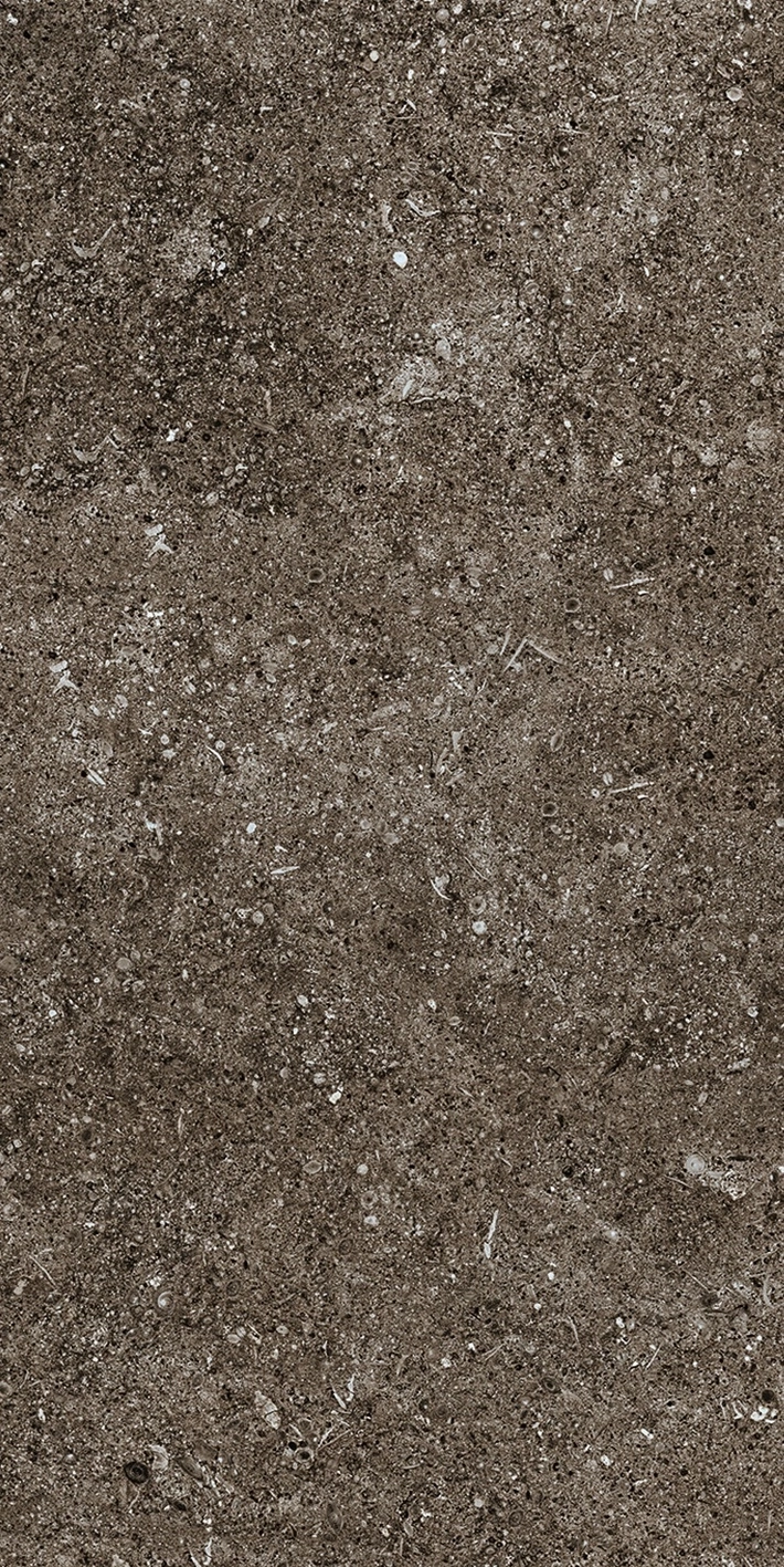 Florim Casa Dolce Casa Sensi Brown Fossil 40X80 Ret  768353