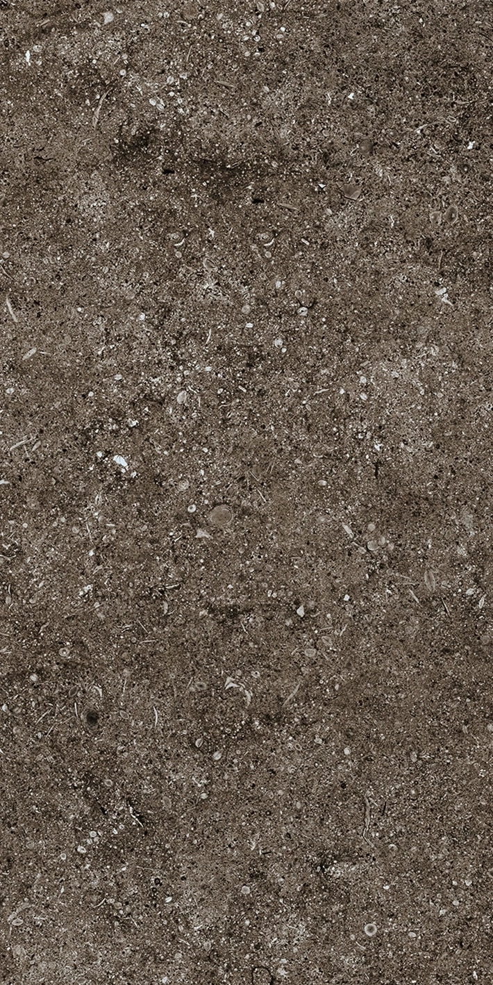 Florim Casa Dolce Casa Sensi Brown Fossil 40X80 Ret  768353