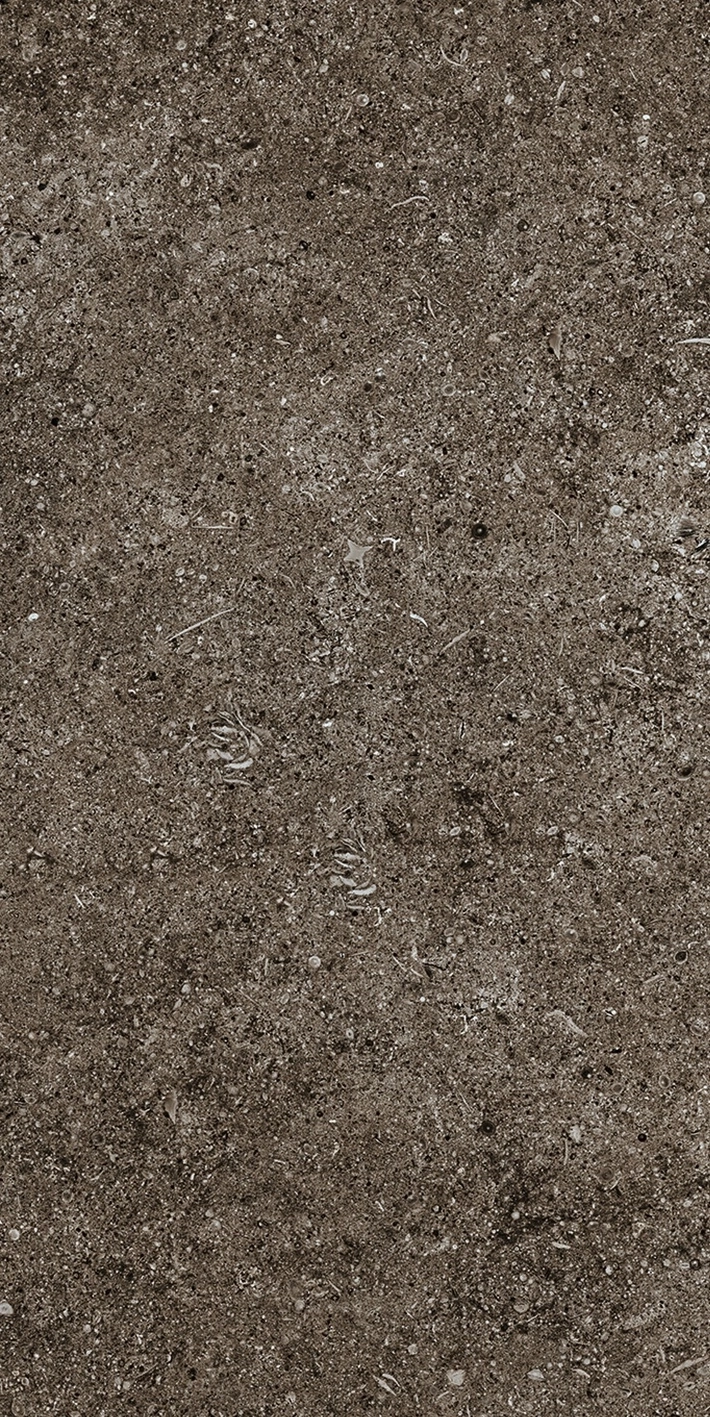Florim Casa Dolce Casa Sensi Brown Fossil 40X80 Ret  768353