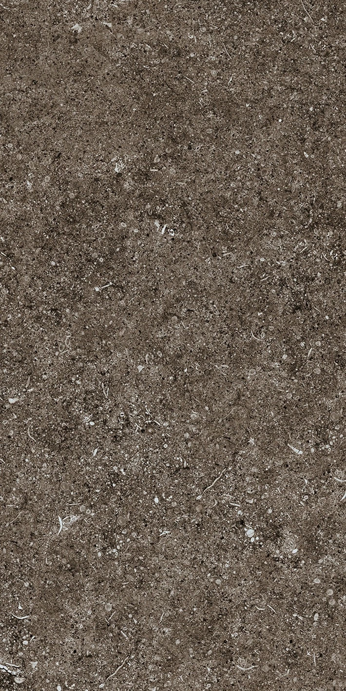 Florim Casa Dolce Casa Sensi Brown Fossil 40X80 Ret  768353