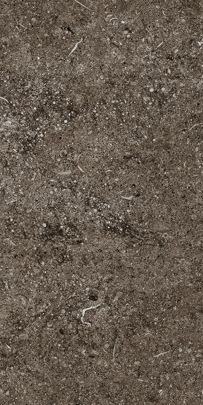 Florim Casa Dolce Casa Sensi Brown Fossil 40X80 Ret  768353