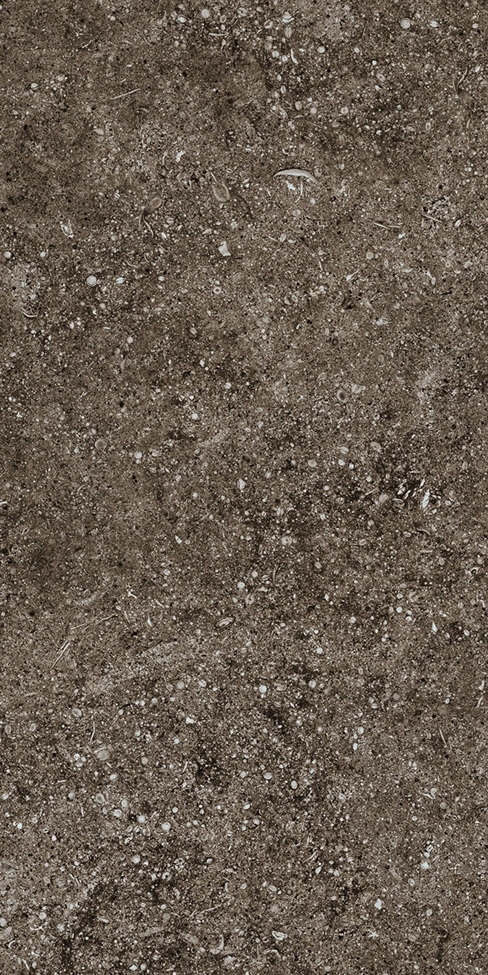 Florim Casa Dolce Casa Sensi Brown Fossil 40X80 Ret  768353