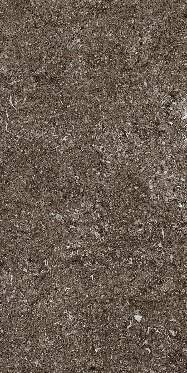 Florim Casa Dolce Casa Sensi Brown Fossil 40X80 Ret  768353