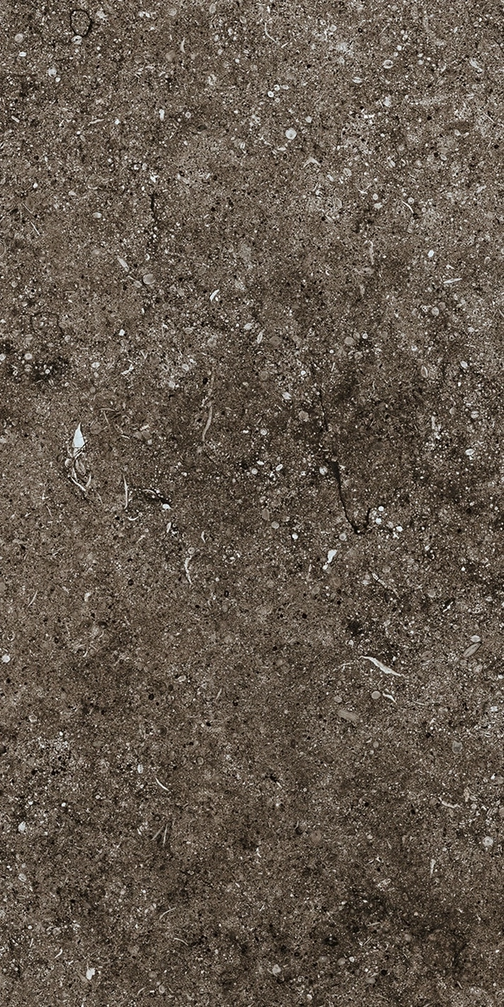Florim Casa Dolce Casa Sensi Brown Fossil 40X80 Ret  768353