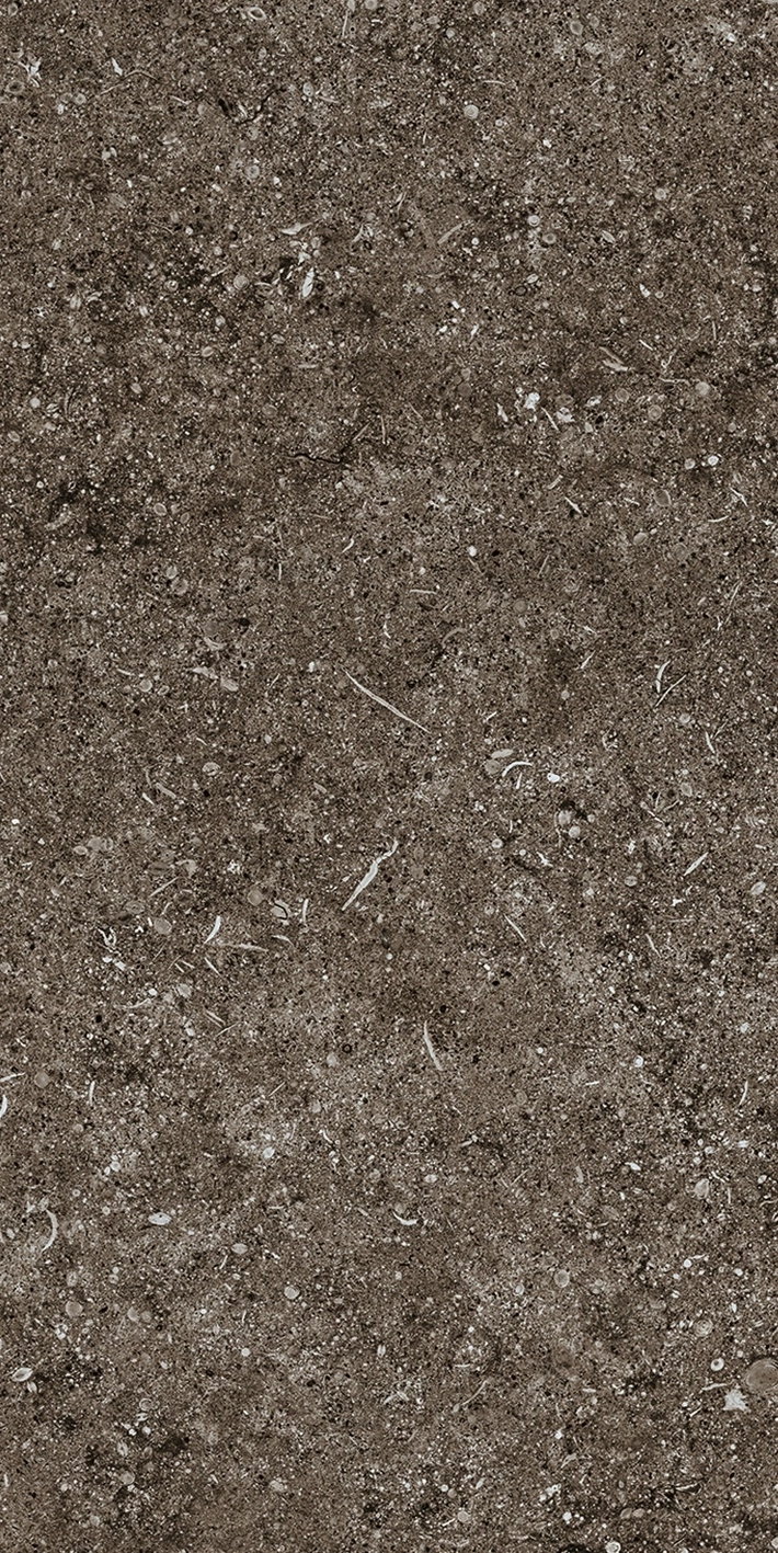 Florim Casa Dolce Casa Sensi Brown Fossil 40X80 Ret  768353