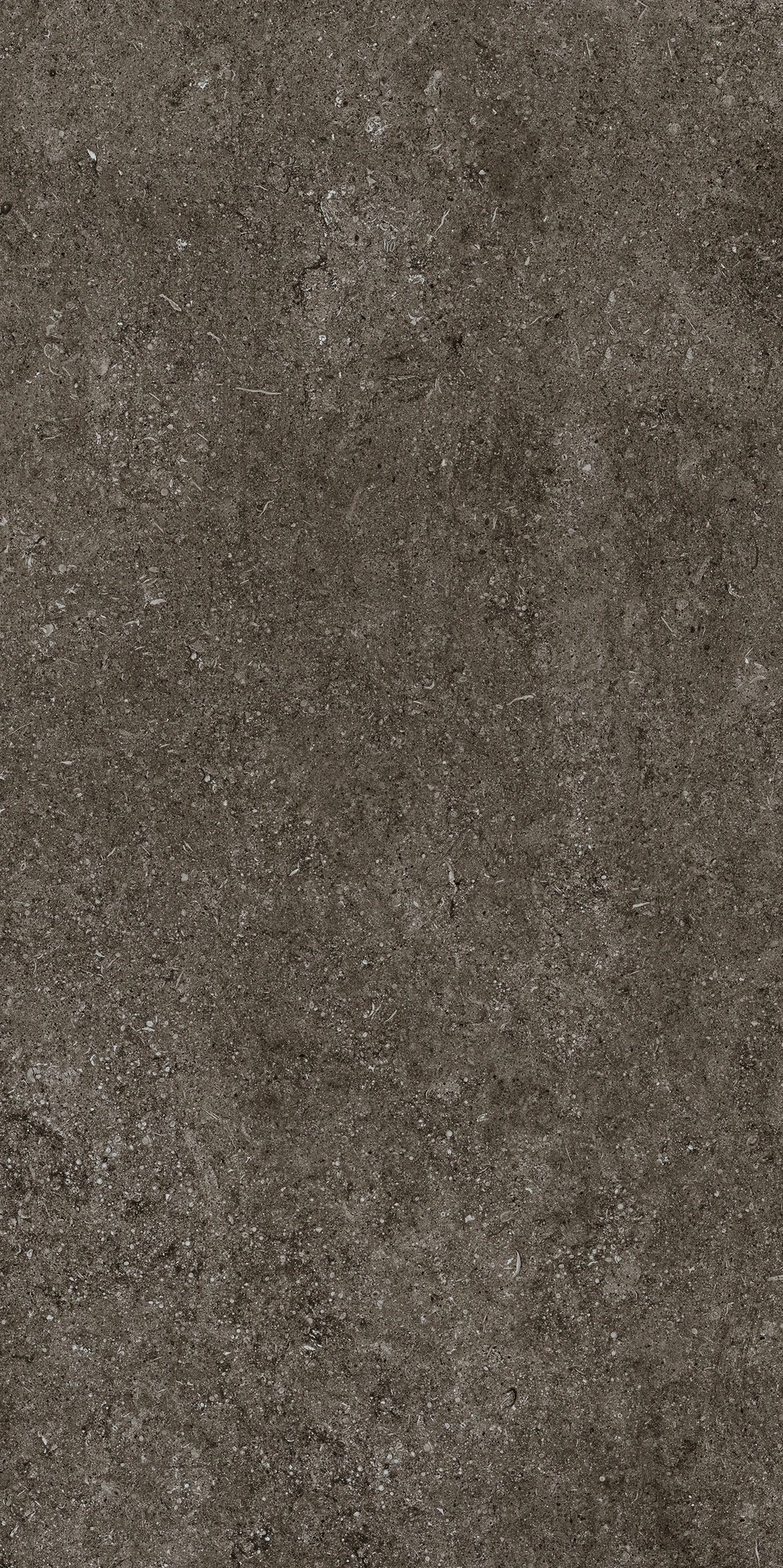 Florim Casa Dolce Casa Sensi Brown Fossil 60X120 Ret  768327