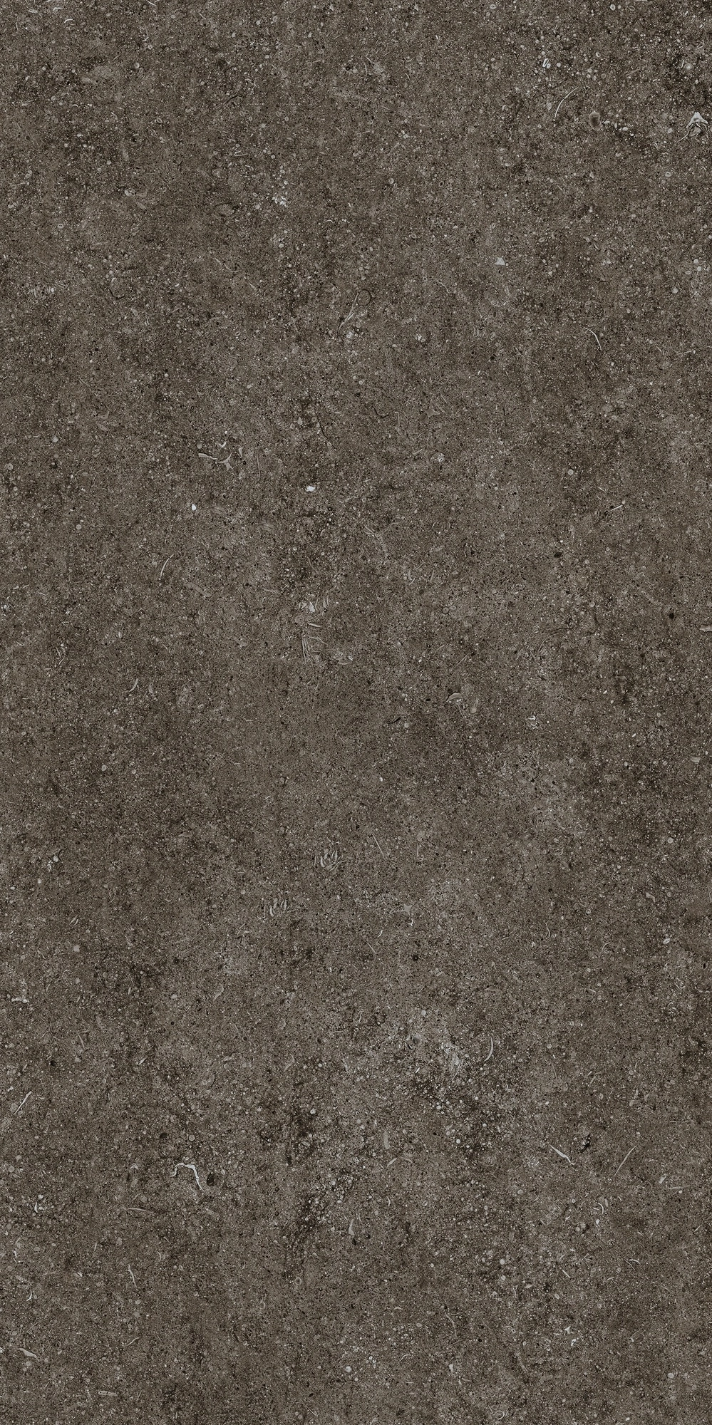 Florim Casa Dolce Casa Sensi Brown Fossil 60X120 Ret  768327