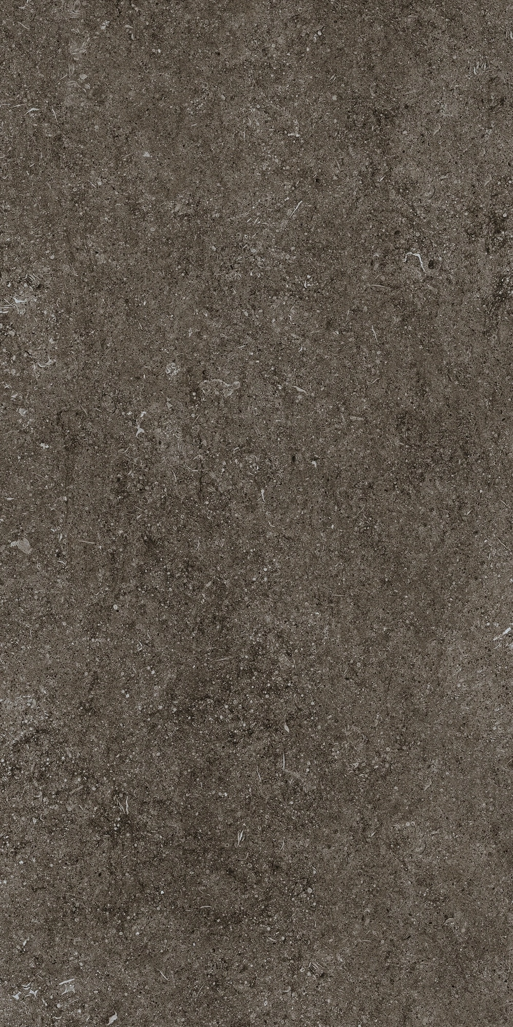 Florim Casa Dolce Casa Sensi Brown Fossil 60X120 Ret  768327