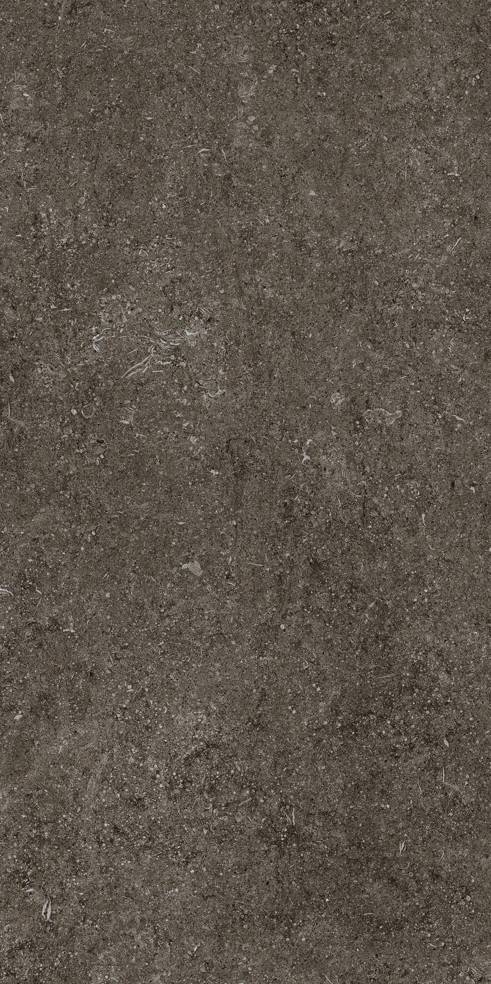 Florim Casa Dolce Casa Sensi Brown Fossil 60X120 Ret  768327