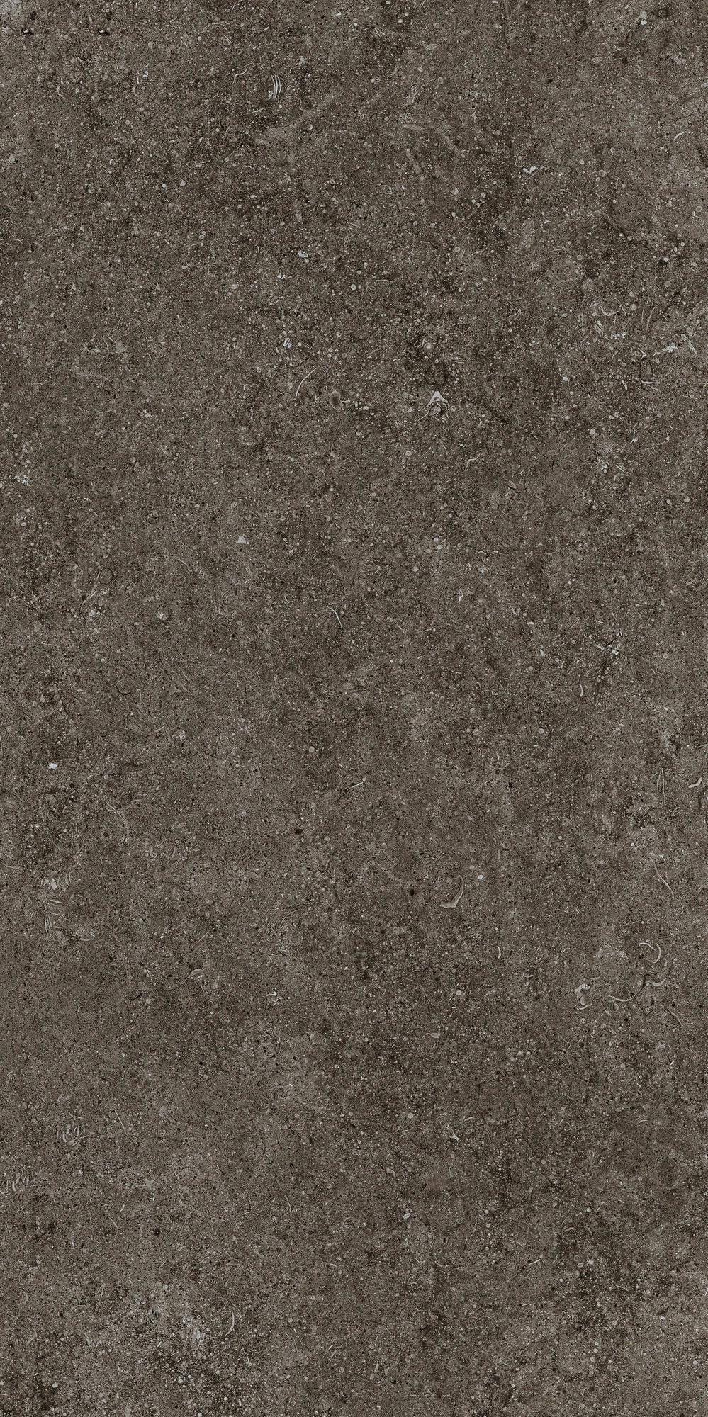 Florim Casa Dolce Casa Sensi Brown Fossil 60X120 Ret  768327