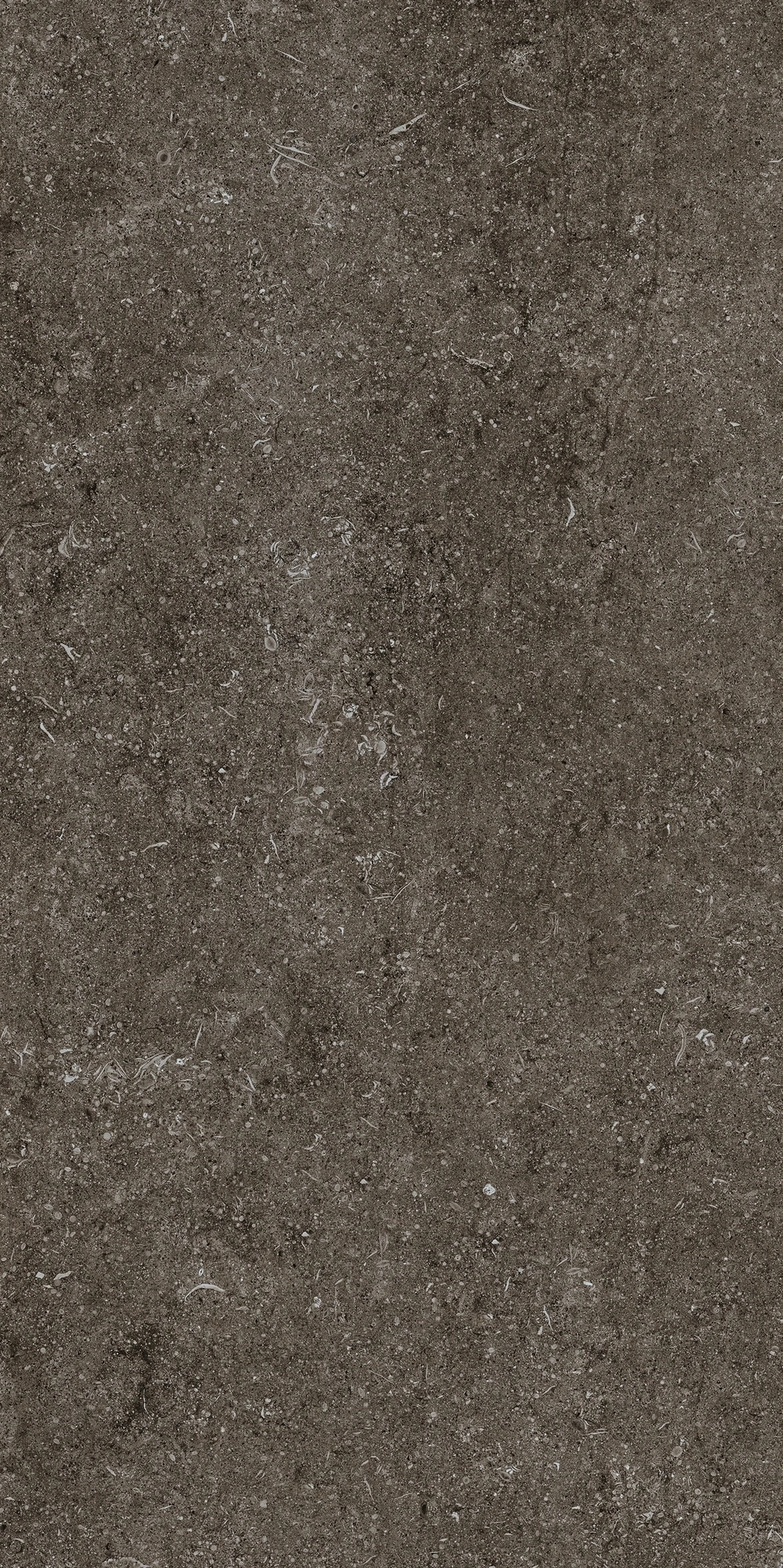 Florim Casa Dolce Casa Sensi Brown Fossil 60X120 Ret  768327