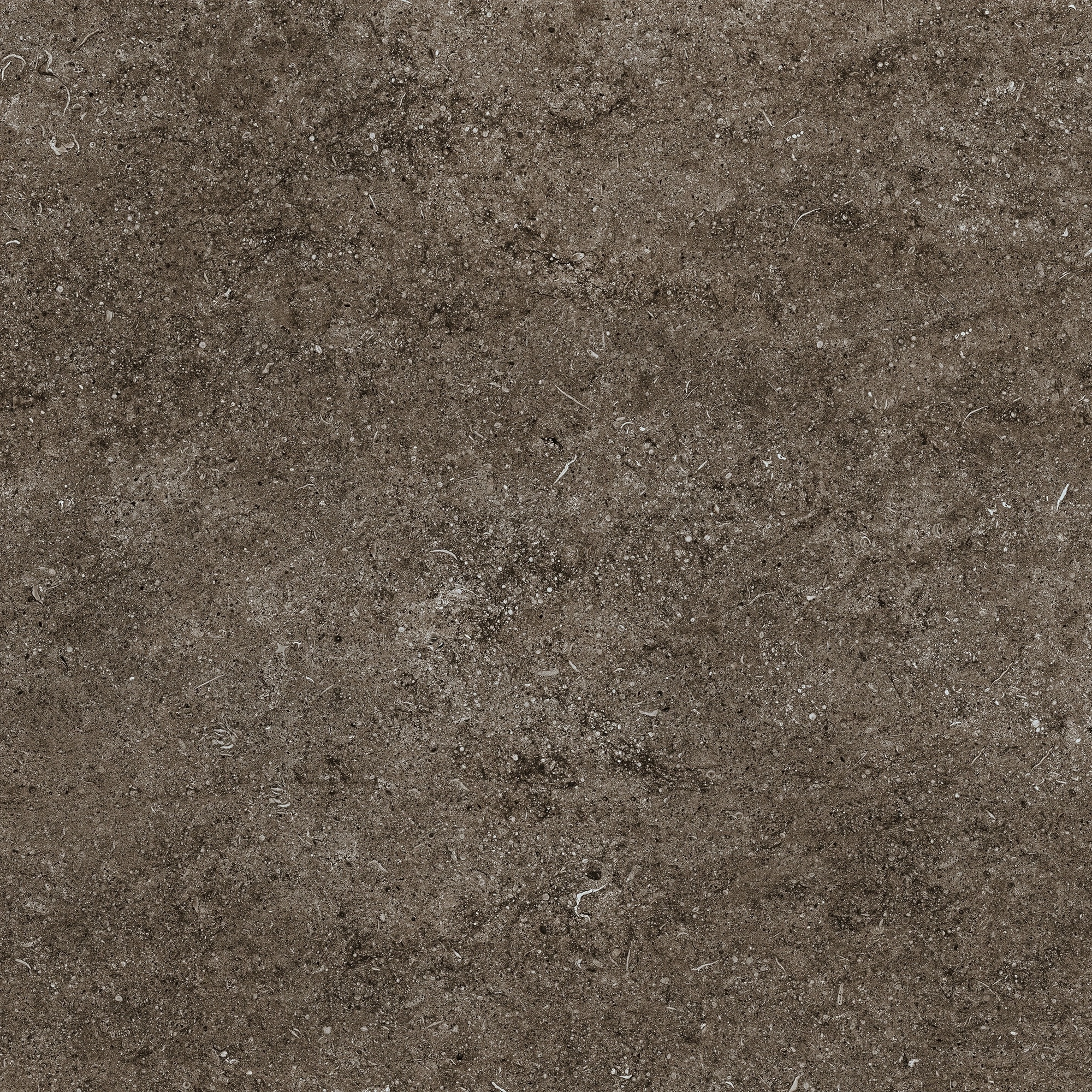 Florim Casa Dolce Casa Sensi Brown Fossil 80X80 Rett 768379