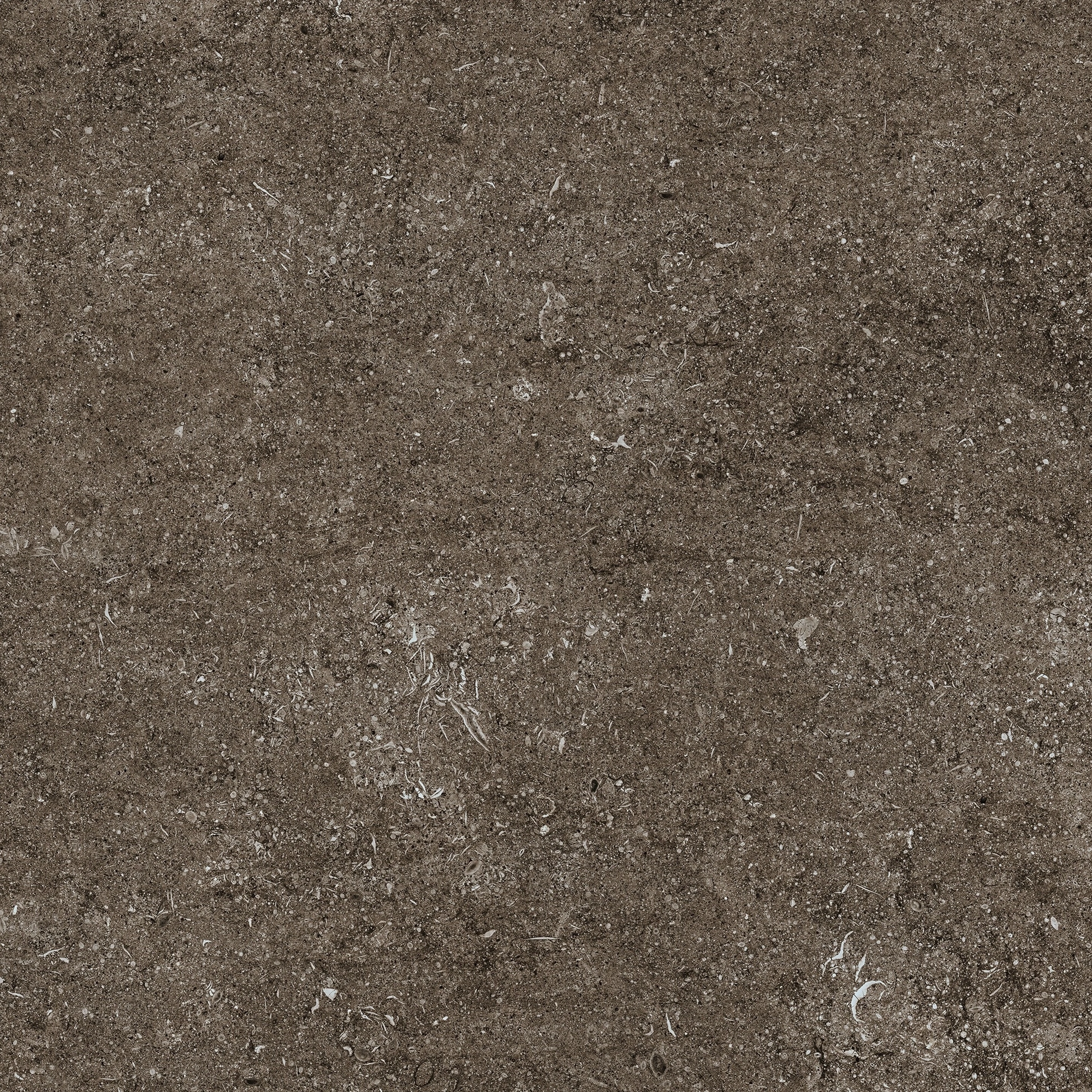 Florim Casa Dolce Casa Sensi Brown Fossil 80X80 Rett 768379