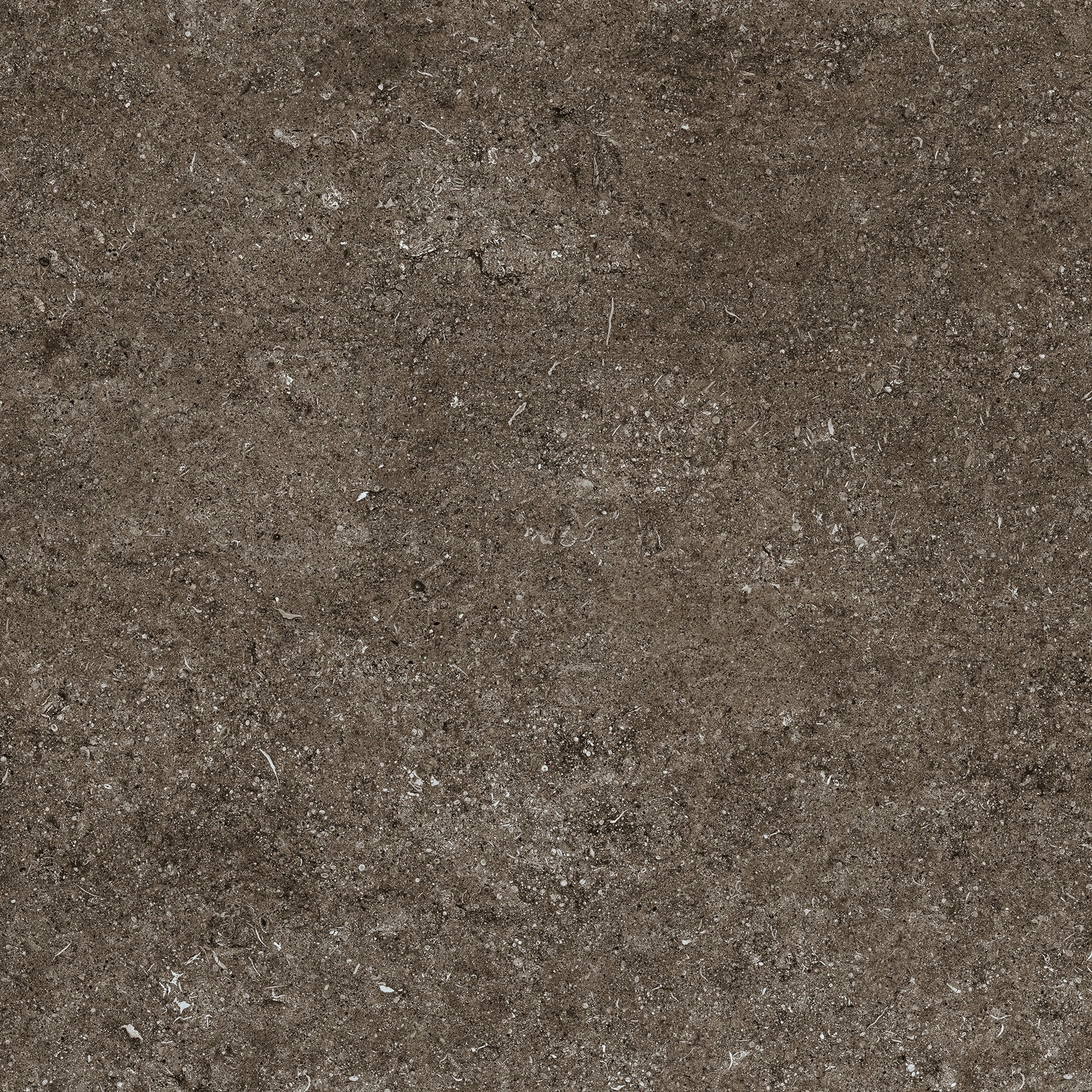 Florim Casa Dolce Casa Sensi Brown Fossil 80X80 Rett 768379