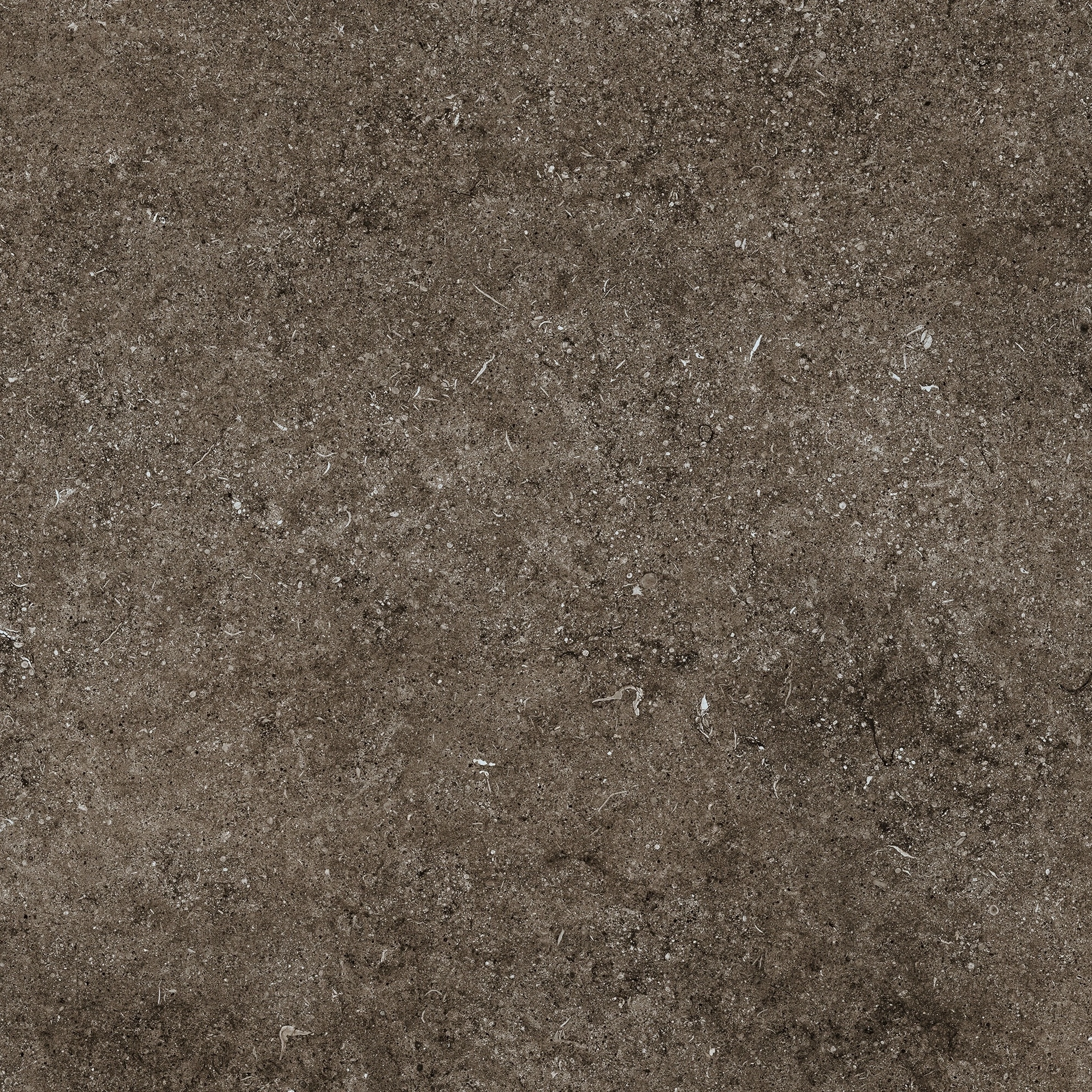 Florim Casa Dolce Casa Sensi Brown Fossil 80X80 Rett 768379