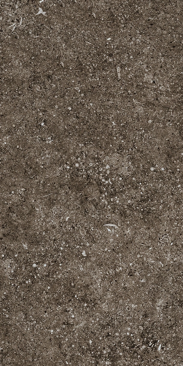 Florim Casa Dolce Casa Sensi Brown Fossil R+Ptv 40X80 Rett  768354