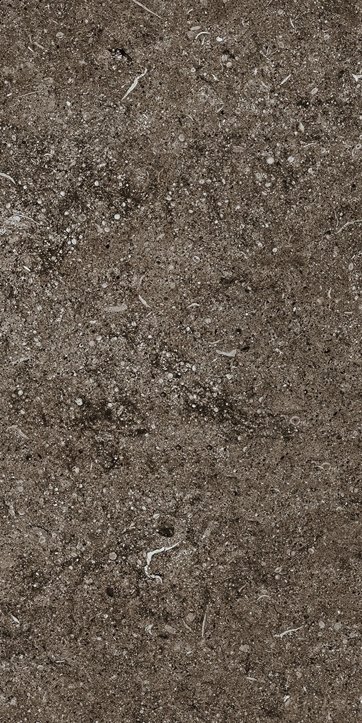 Florim Casa Dolce Casa Sensi Brown Fossil R+Ptv 40X80 Rett  768354