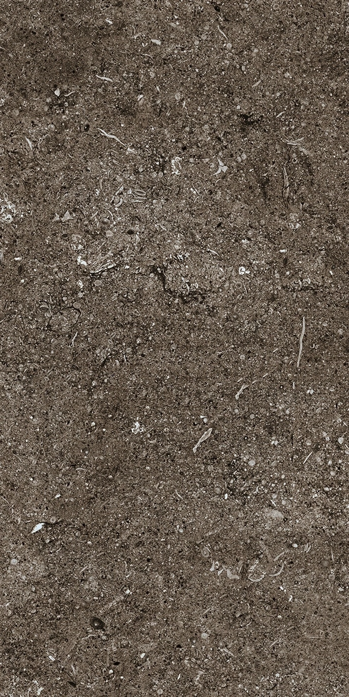 Florim Casa Dolce Casa Sensi Brown Fossil R+Ptv 40X80 Rett  768354