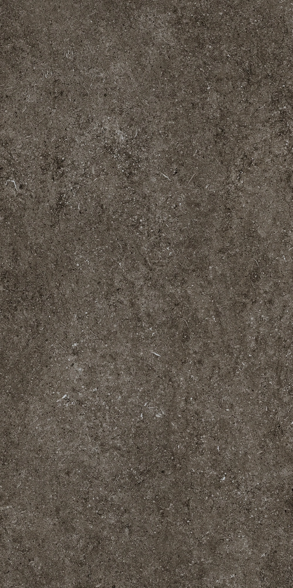 Florim Casa Dolce Casa Sensi Brown Fossil R+Ptv 60X120 Ret 768328